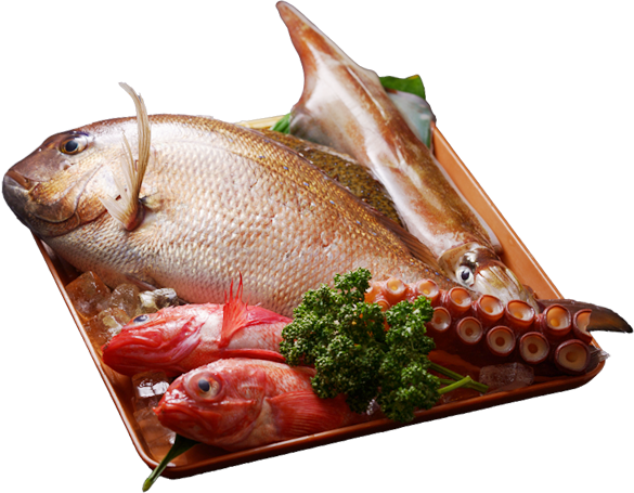 鮮魚